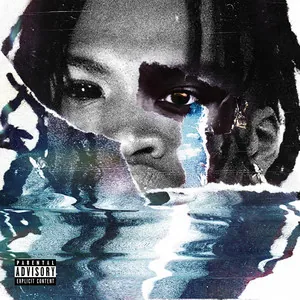 Pochette de l'album FRIEND OR FOUX de Lancey Foux (2019)