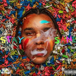 Pochette de l'album Stay Sane de Ocean Wisdom (2021)
