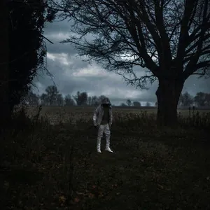 Pochette de l'album Stay Down de SAFE (2015)