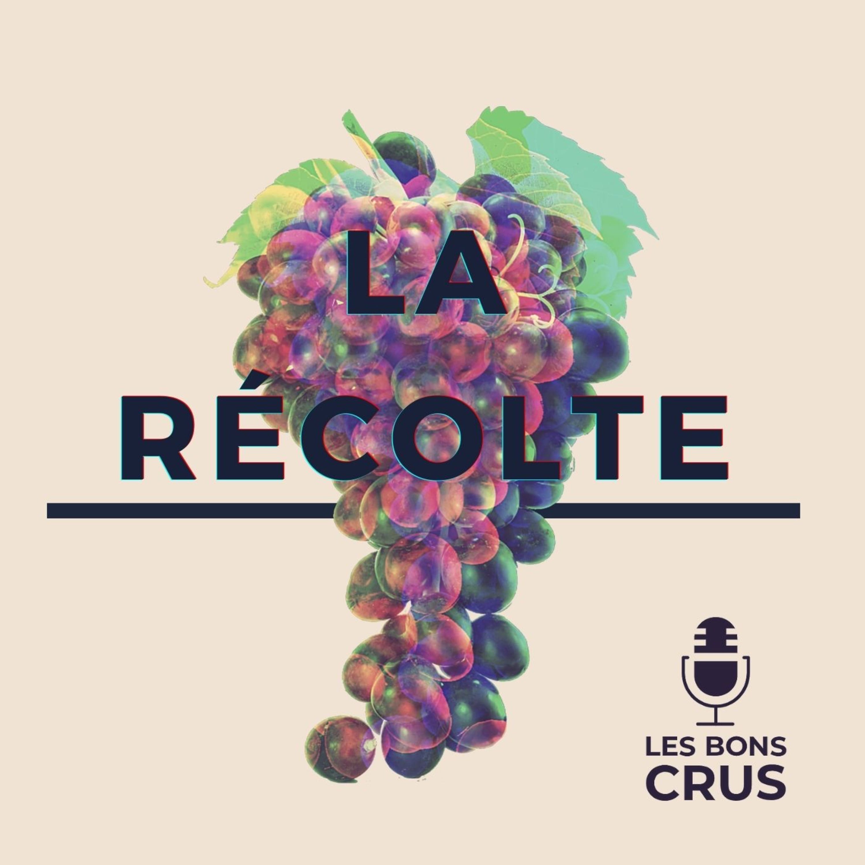 Duke Deuce, OFB, JPEGMAFIA, La Fève, Bones, JID - Récolte Rap