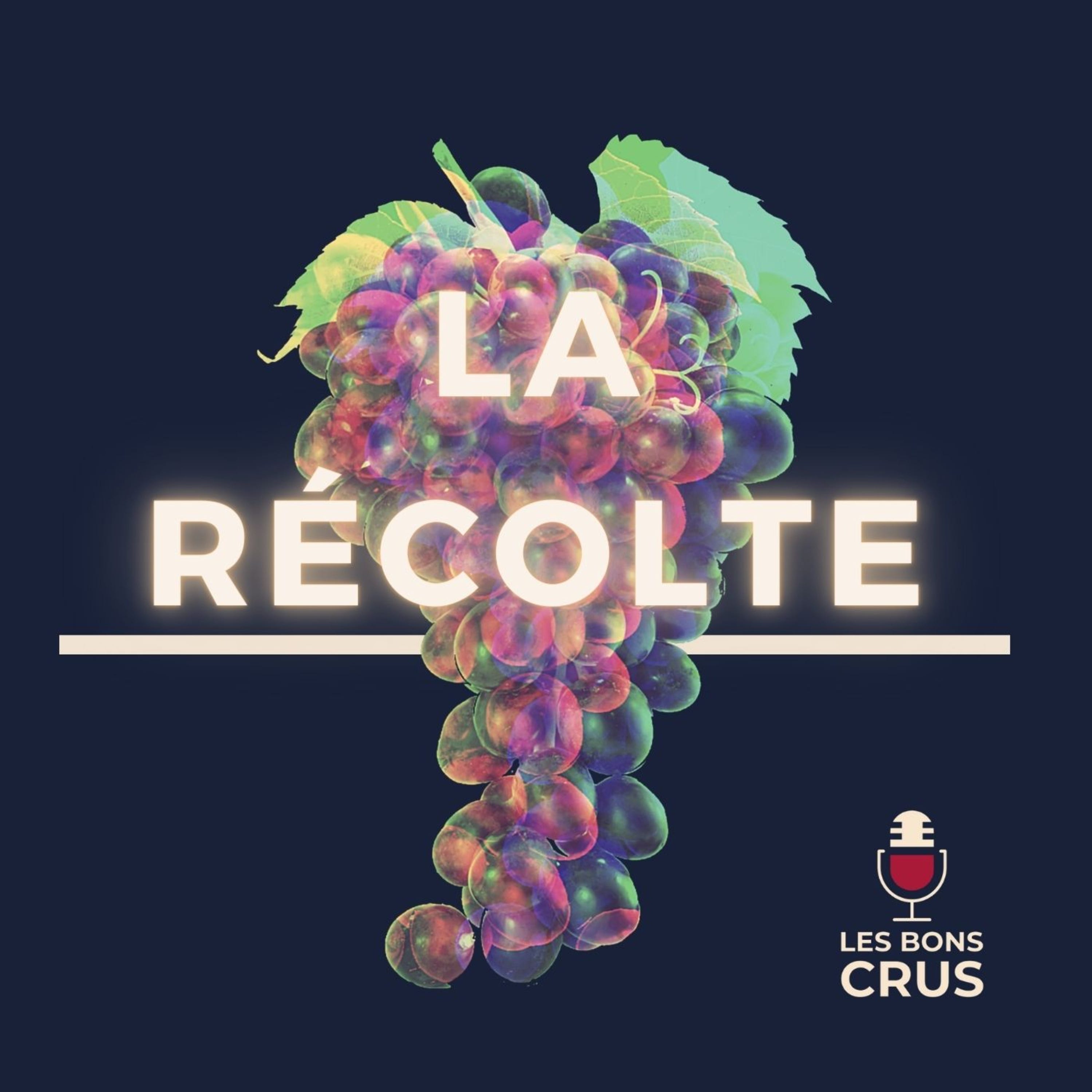 Slowthai, Masego, Lala &ce, Benjamin Epps, Tedax Max - Récolte Rap